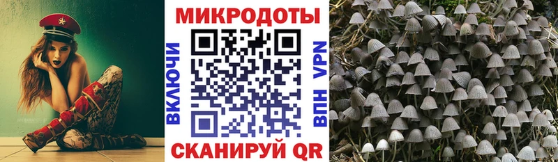 как найти закладки  Краснозаводск  Галлюциногенные грибы Psilocybe 